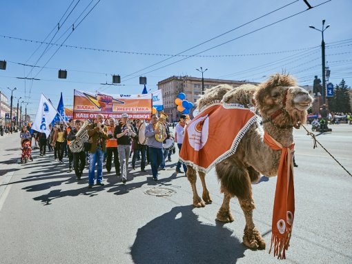 Chelyabinsk May Day for the first time in 7 years will be held without a camel Grigoriy and power engineers